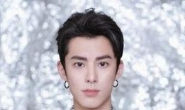 狗崽爆料王鹤棣视频播放,王鹤棣视频播放背后的故事揭秘